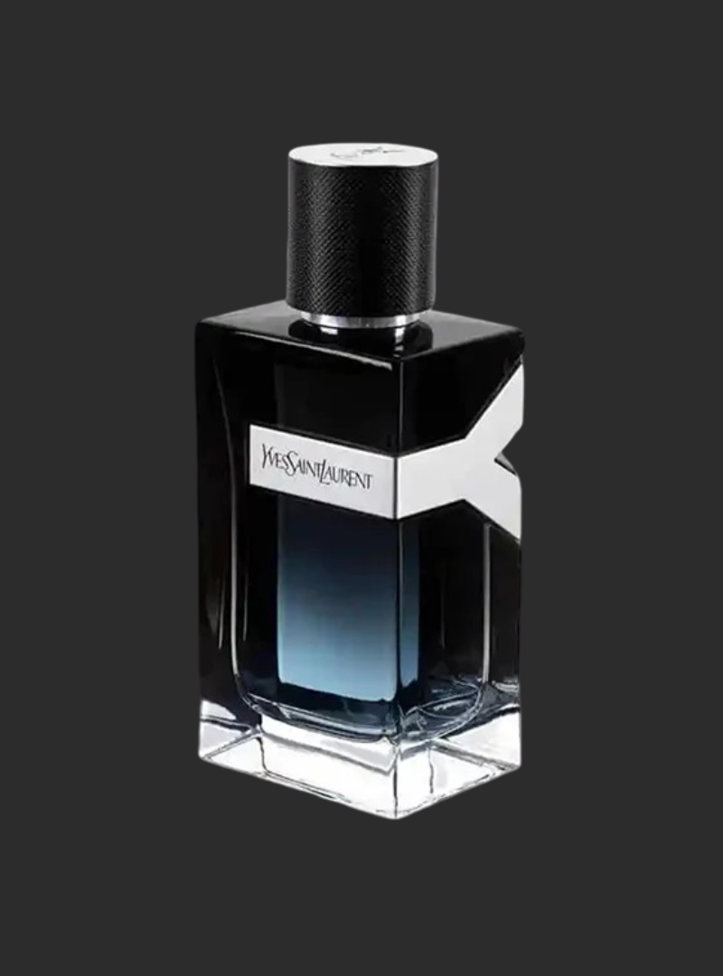 Y – Yves Saint Laurent