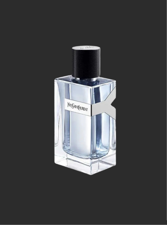 Y – Yves Saint Laurent