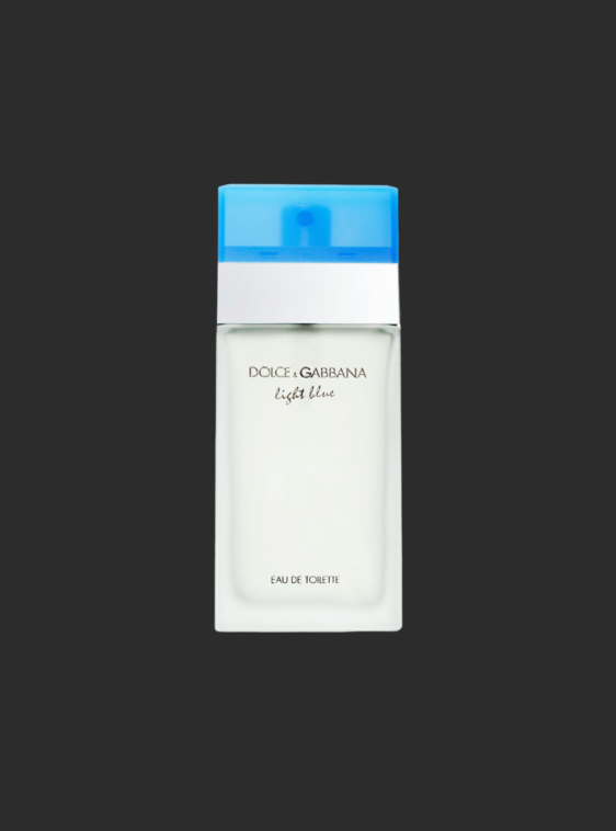 Light Blue Women – Dolce & Gabbana